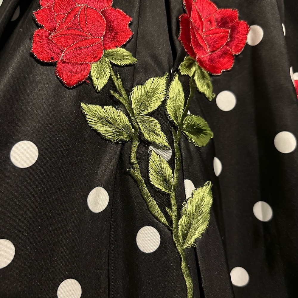 Sherri Hill Size 0 Rose Polka Dot High-Low Prom Gown – Fun, Flirty🌹✨ - Picture 3 of 7